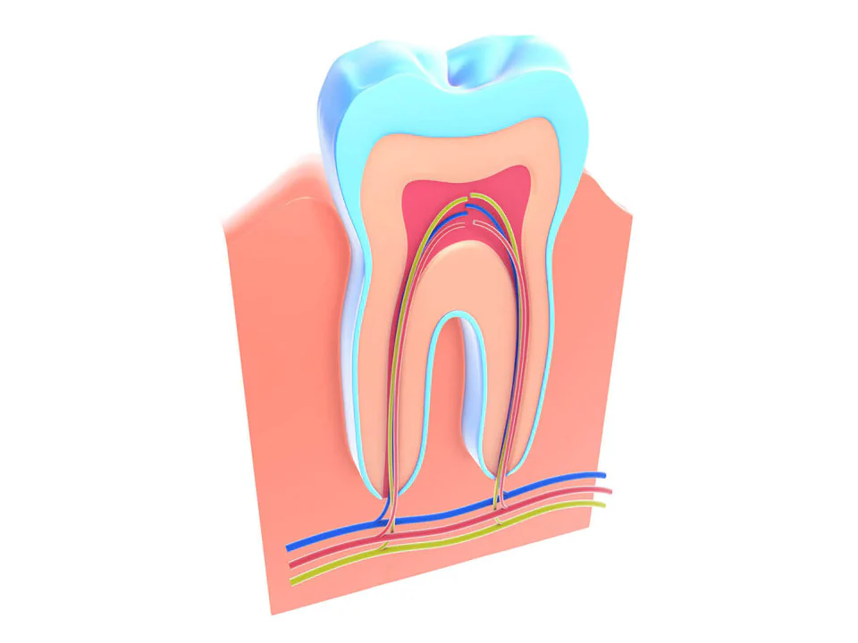 Root canal treatment in the Kansas City area at Kansas City Smiles & Co.